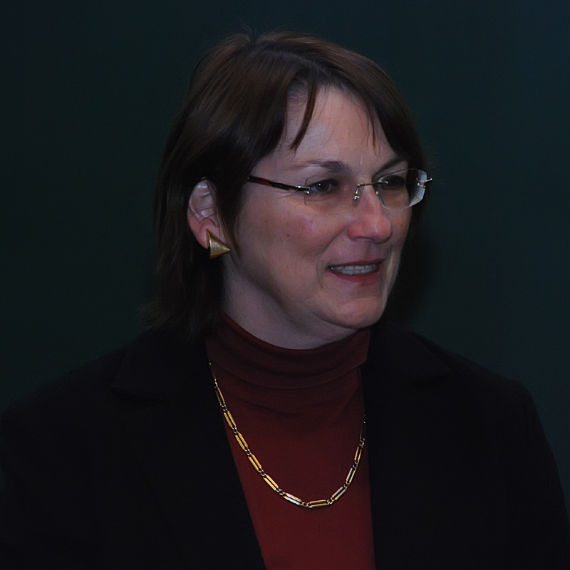 Regina Hitzenberger, Vizedekanin der Fakultät für Physik