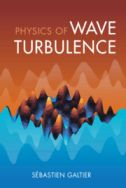 Physics of wave turbulence