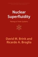 Nuclear superfluidity: pairing in finite systems