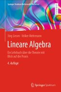 Lineare Algebra: ein Lehrbuch über die Theorie mit Blick auf die Praxis