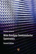 Wide bandgap semiconductor spintronics